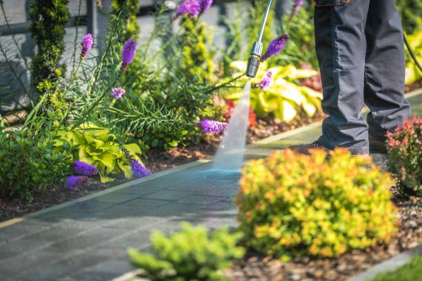 Best Pre-Holiday Cleaning  in Land O Lakes, FL