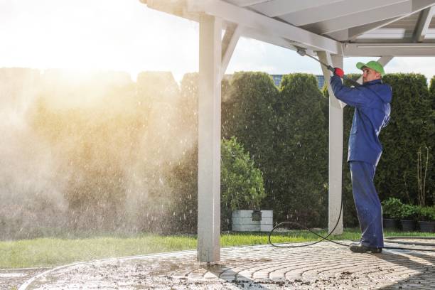 Best Dumpster Area Cleaning  in Land O Lakes, FL