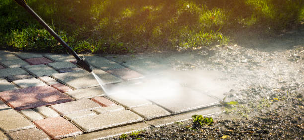 Best Roof Washing  in Land O Lakes, FL